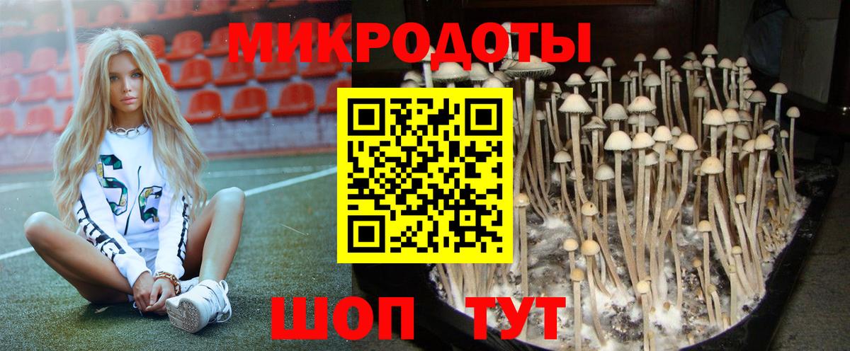 Псилоцибиновые грибы Cubensis Бахчисарай